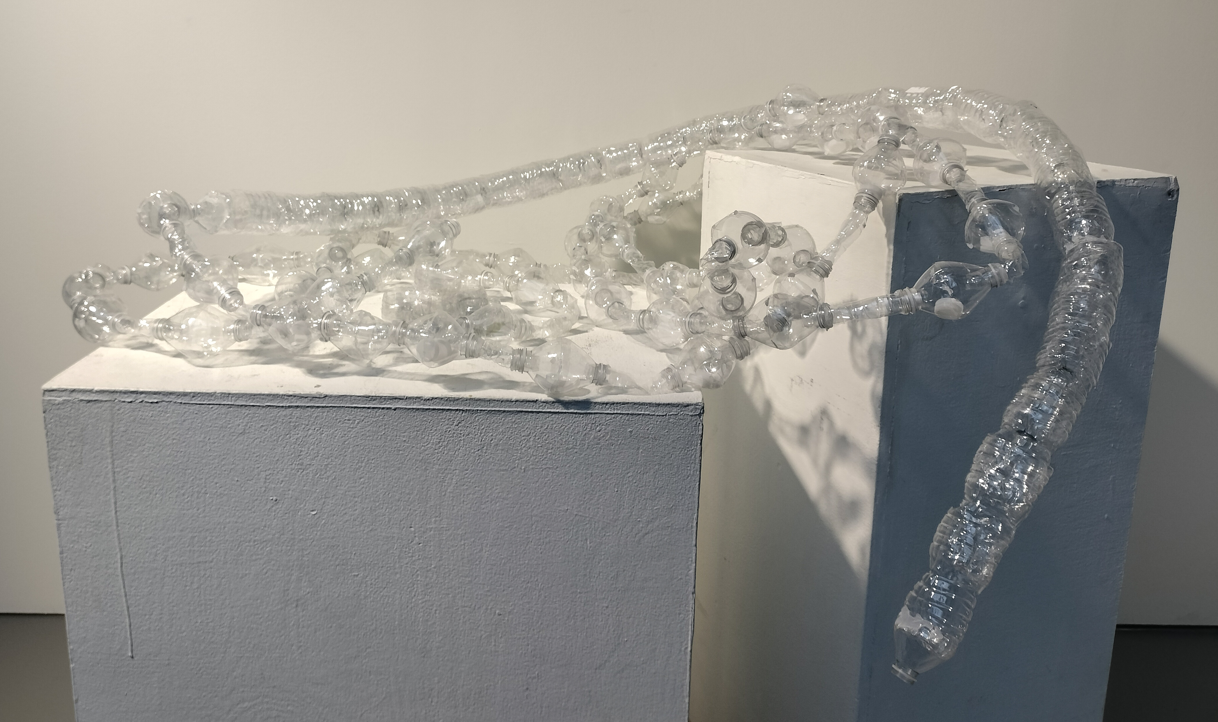 Sculpture of Plastic Intestines
